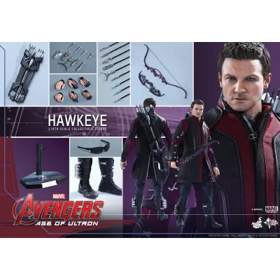 Hot Toys Avengers Age Of Ultron Hawkeye, 1/6 (MMS289)