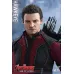 Hot Toys Avengers Age Of Ultron Hawkeye, 1/6 (MMS289)