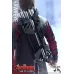 Hot Toys Avengers Age Of Ultron Hawkeye, 1/6 (MMS289)