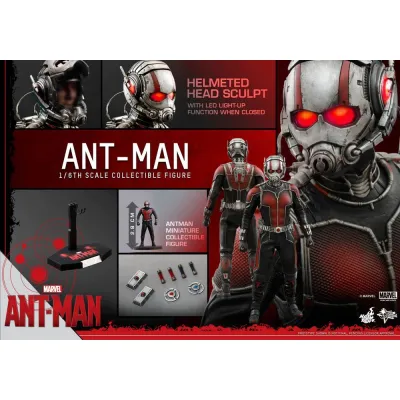 Hot Toys Ant-Man, 1/6 (MMS308)