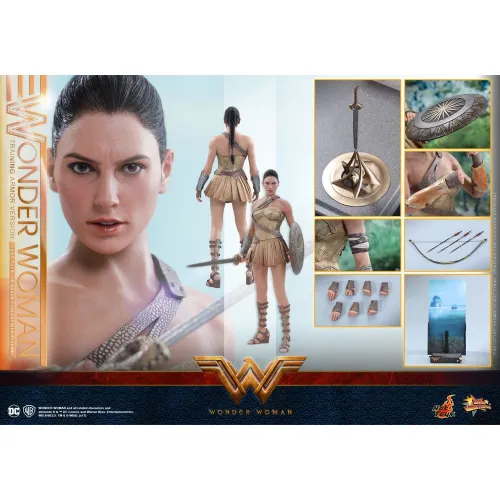 Hot Toys Wonder Woman (Training Armor Version), 1/6 (MMS424) Hot Toys Wonder Woman (Training Armor Version), 1/6 (MMS424)