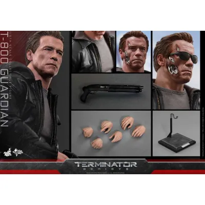 Hot Toys Terminator: Genisys – T-800 Guardian, 1/6 (MMS307)
