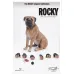 Hot Toys Rocky Loan Shark Collector Scale Action Figure Deluxe, 1/6