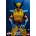 Hono Studio X-Men – Wolverine, 1/6