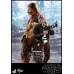 Hot Toys Han Solo & Chewbacca, 1/6 (MMS376)