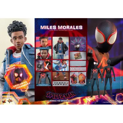 Hot Toys Spider-Man Across The Spider-Verse Miles, 1/6 (MMS710)