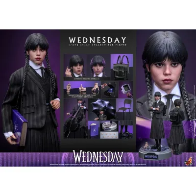 Hot Toys Wednesday, 1/6 (TMS135)