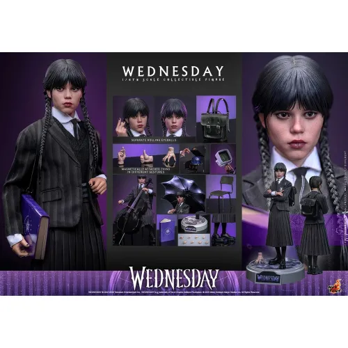 Hot Toys Wednesday, 1/6 (TMS135)