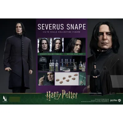 InArt Harry Potter – Severus Snape, 1/6