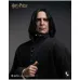 InArt Harry Potter – Severus Snape, 1/6