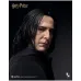 InArt Harry Potter – Severus Snape, 1/6