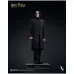 InArt Harry Potter – Severus Snape, 1/6