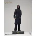 InArt Harry Potter – Severus Snape, 1/6