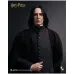 InArt Harry Potter – Severus Snape, 1/6