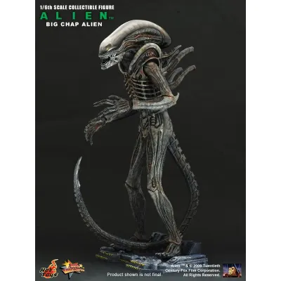 Hot Toys Alien – Big Chap, 1/6 (MMS106)
