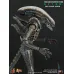 Hot Toys Alien – Big Chap, 1/6 (MMS106)