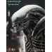 Hot Toys Alien – Big Chap, 1/6 (MMS106)