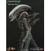 Hot Toys Alien – Big Chap, 1/6 (MMS106)