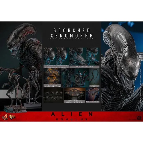Hot Toys Alien Romulus Scorched Xenomorph, 1/6 (MMS784)