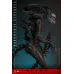 Hot Toys Alien Romulus Scorched Xenomorph, 1/6 (MMS784)