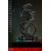 Hot Toys Alien Romulus Scorched Xenomorph, 1/6 (MMS784)