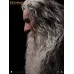 InArt Lord Of The Rings – Gandalf Premium Edition, 1/6