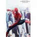 Hot Toys The Amazing Spider-Man 2, 1/6 (MMS244)
