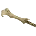 Паличка Волдеморта Warner Bros, оригінал (Lord Voldemort's Wand)